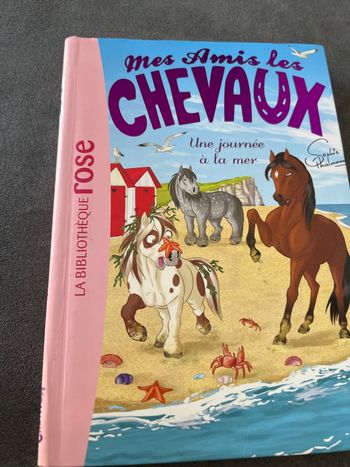 Livre bibliothèque rose mes amis les chevaux tome 14