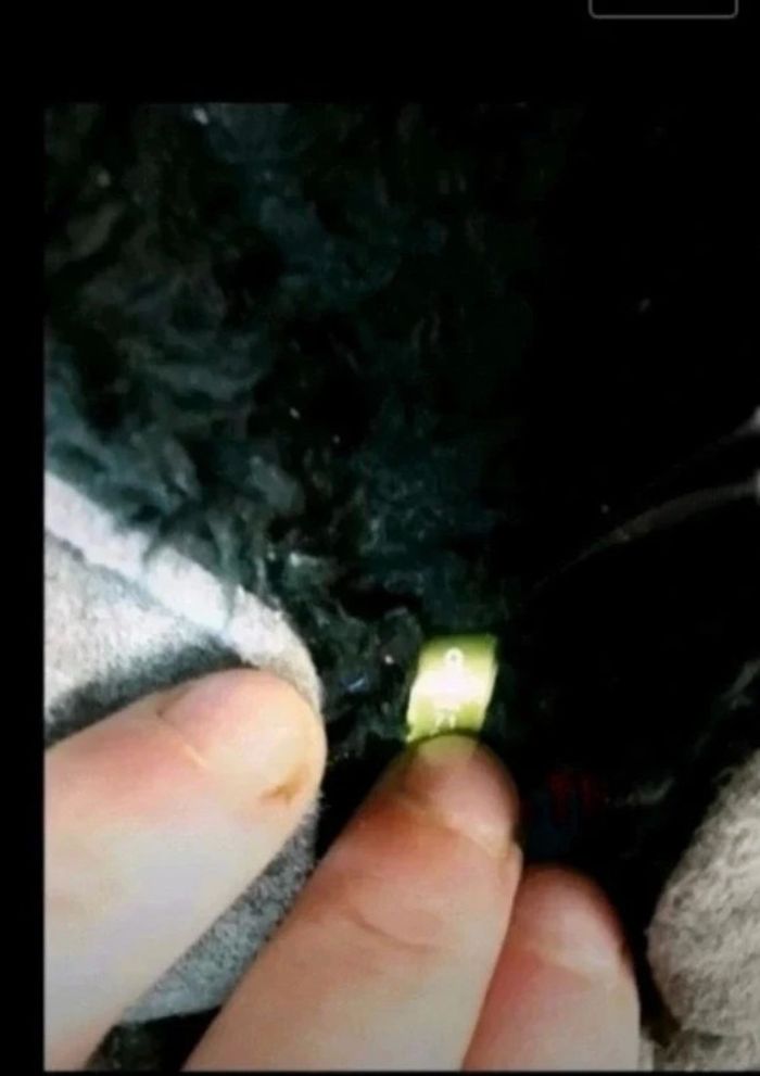 Veste 9 mois - photo numéro 2