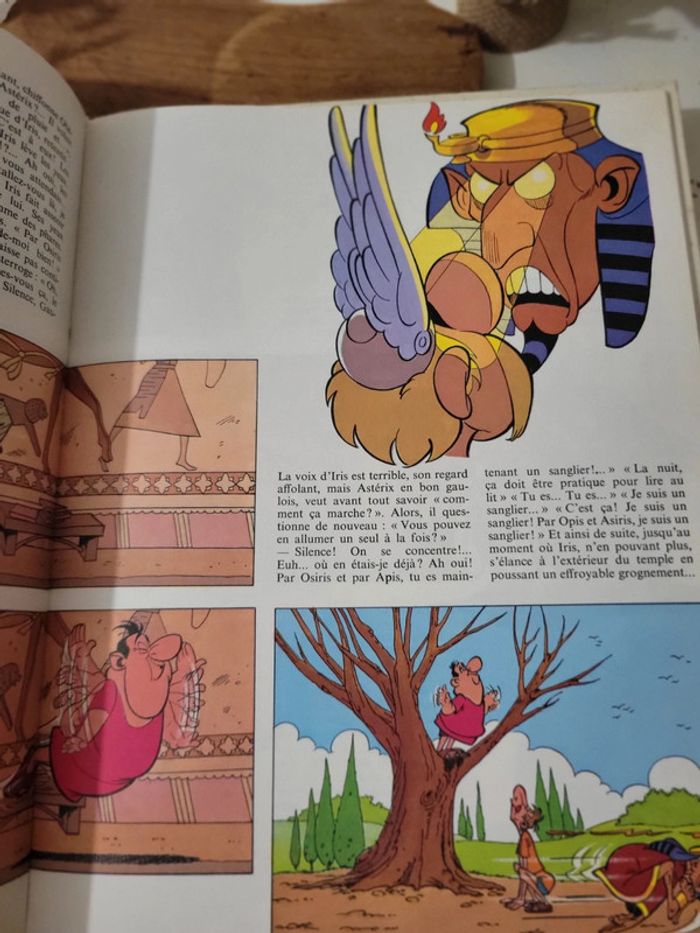 Bd livre "Les 12 travaux d'Asterix" Dargaud - photo numéro 11