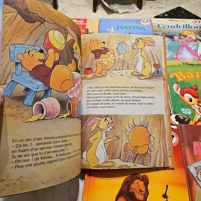 lot de livres Disney - photo numéro 4