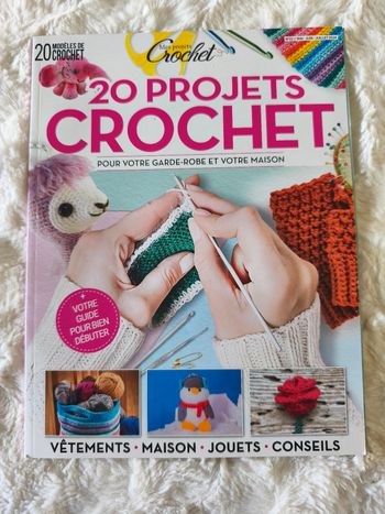 20 projets crochet
