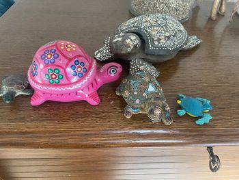 Lot de décoration tortues