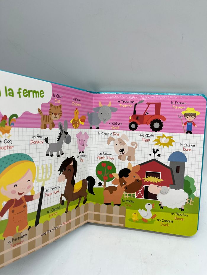 livre mon premier dictionnaire illustré Bilingue Français/anglais mes premiers mots pour apprendre l’anglais Neuf - photo numéro 2