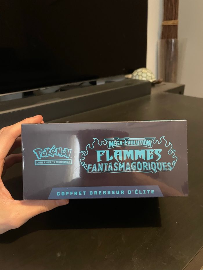 ETB ME02 flammes fantasmagoriques - photo numéro 6