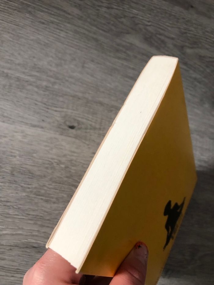 L’extraordinaire voyage du fakir - photo numéro 6