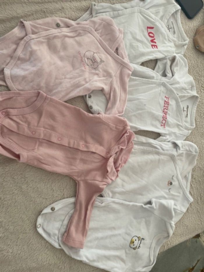 Lot body