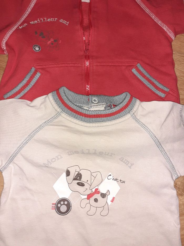 Ensemble chien 24mois - photo numéro 2