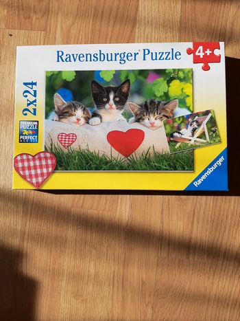 Puzzle chaton