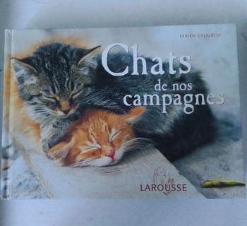 Chats de nos campagnes