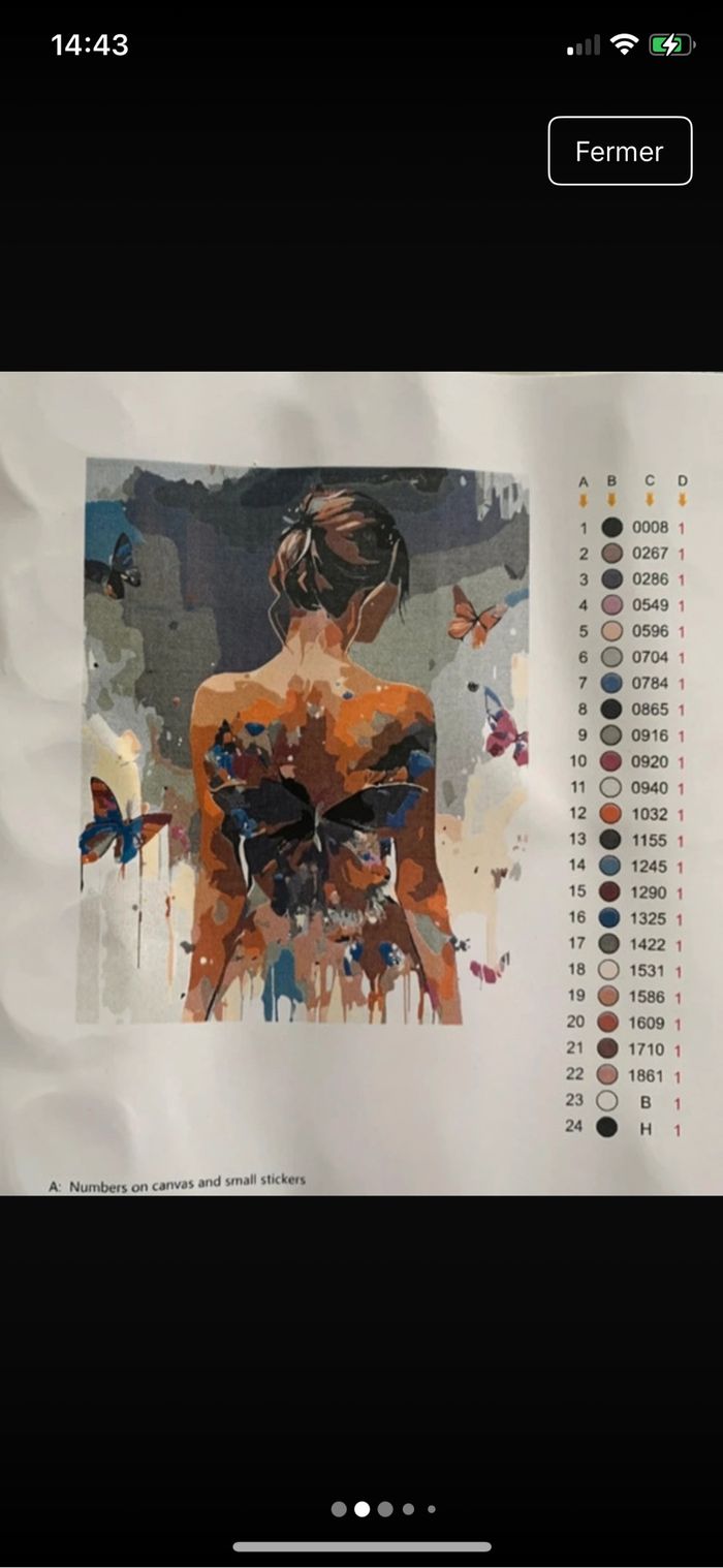 Kit complet de peinture par numéro - Neuf - photo numéro 2