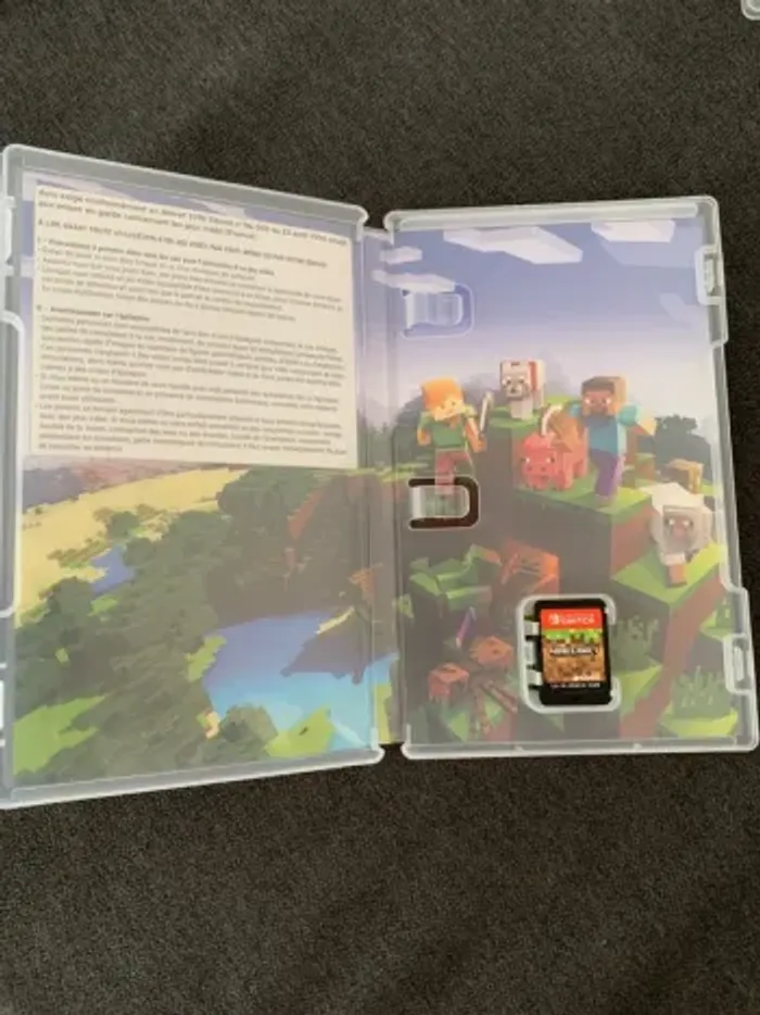 Minecraft Switch - photo numéro 3