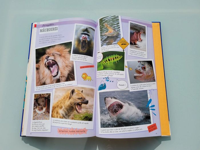 Grand livre Le Larousse des Records, couverture mousse - photo numéro 11