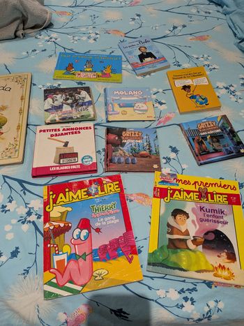 Lot de livres en bon état 