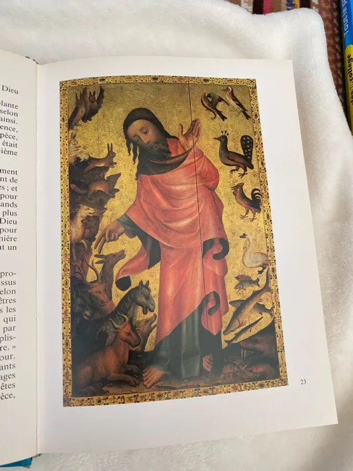 La grande Bible illustrée pour les jeunes - photo numéro 5