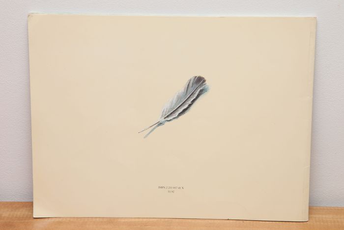 Trolik - photo numéro 2