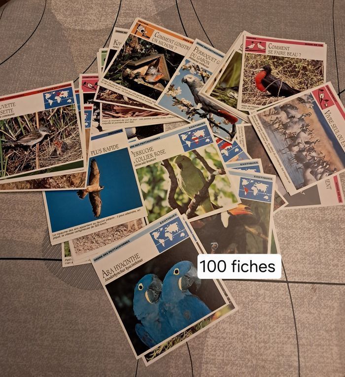 Fiches NEUVES instructives pour les enfants *Atlas* - photo numéro 4