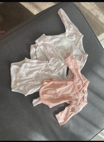 Lot body