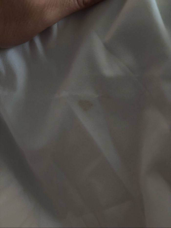 Serviettes de table x60 - photo numéro 2