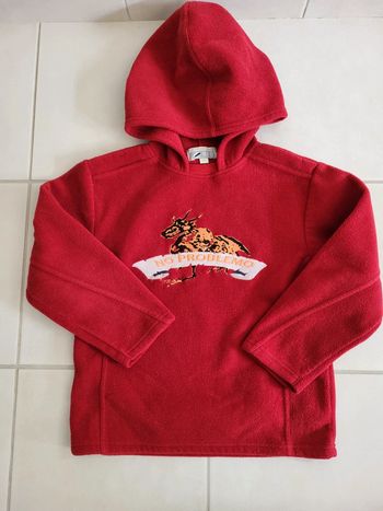 Pull garçon 8 ans