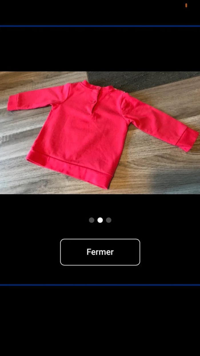 Pull Minie - photo numéro 2