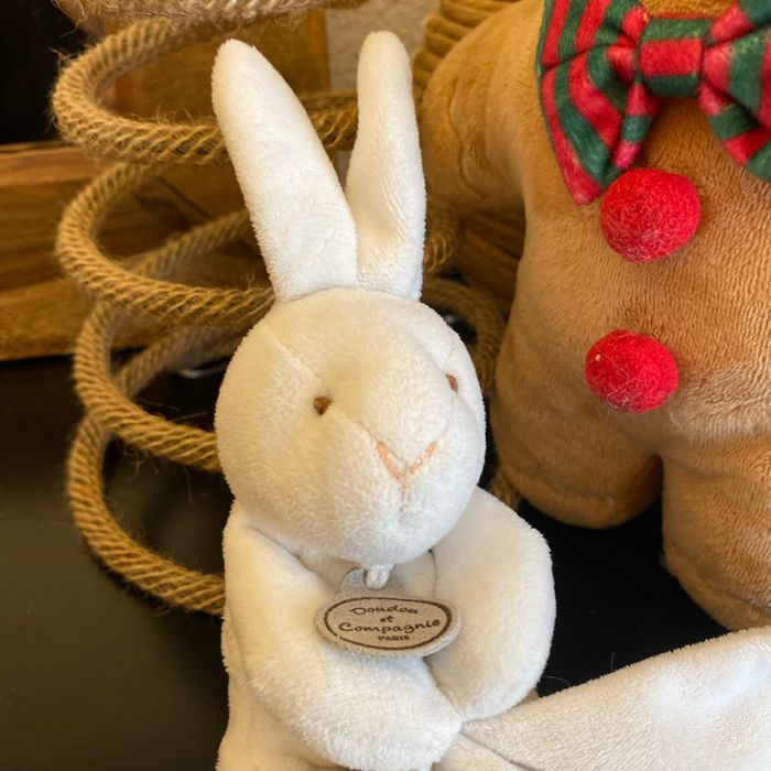 Doudou lapin blanc - photo numéro 2