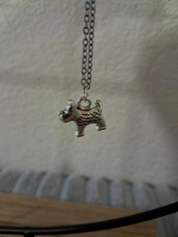 Collier chien