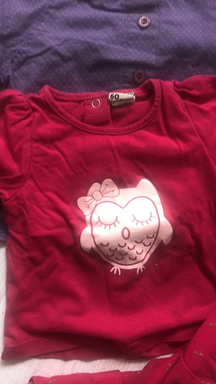 Lot blouse tee shirt ml et pantalon 3 mois - photo numéro 3