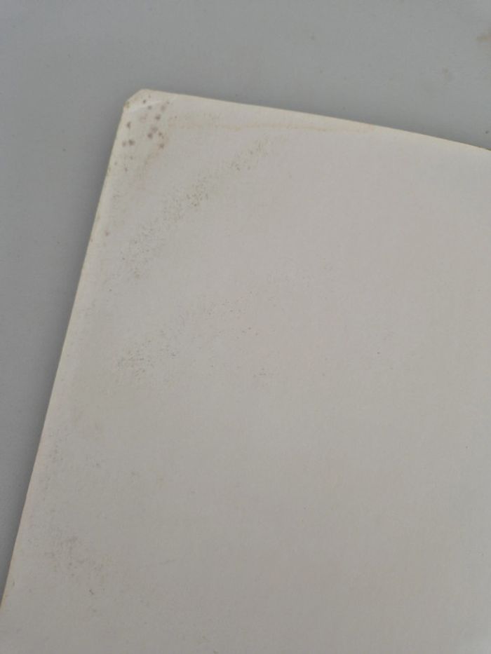 BD Luuna Tome 1 la nuit des totems - photo numéro 5