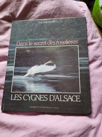 Dans le secret des roselières les cygnes sauvages