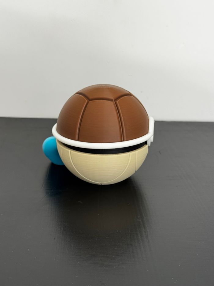 Pokeball carapace - photo numéro 4
