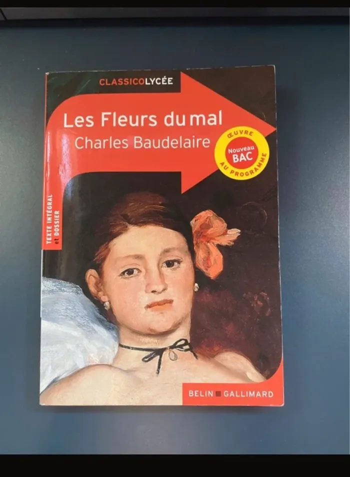 Livre bac de français « les fleurs du mal »