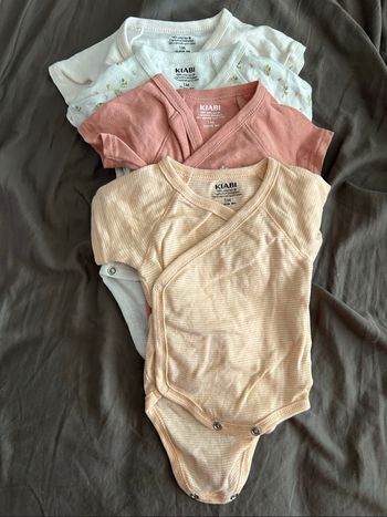 Lot body