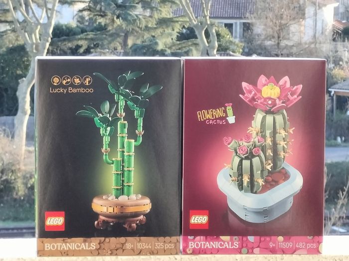 Lego bambou et cactus fleuri