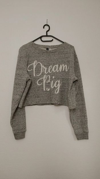 Beau pull crop top avec inscription brodée
