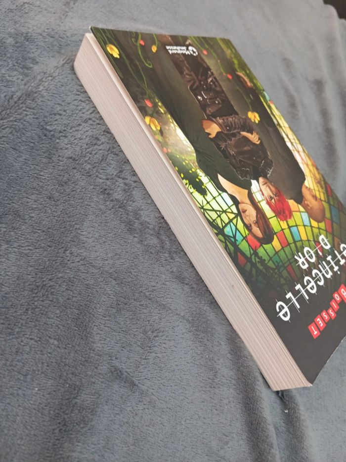 L'étincelle d'or - photo numéro 5