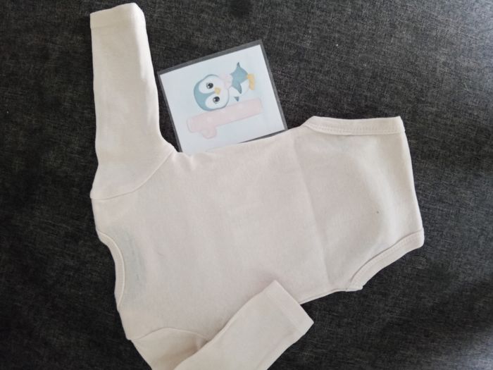 Bodie rose pâle _ 1 mois - photo numéro 2