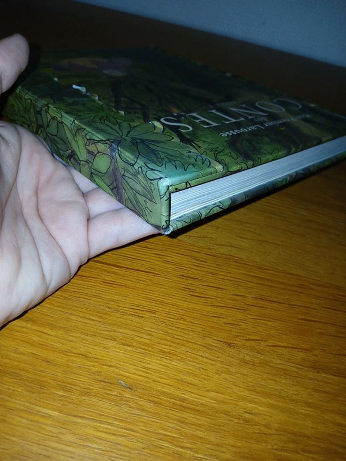 Mon premier larousse des contes - photo numéro 12