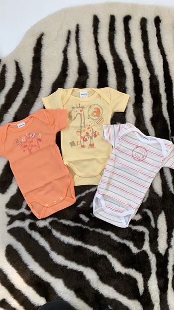 Lot de 3 bodies neufs absorba 3 mois (60)