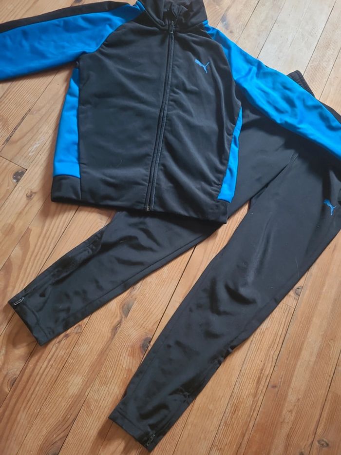 Ensemble puma