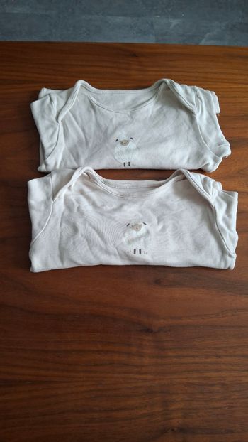 Lot  bodies moutons