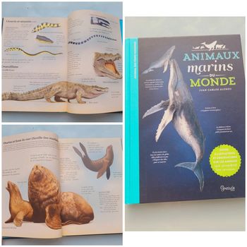 Très beau livre grand format : 🦈 Les Animaux Marins du Monde 🐋 Grenouille éditions