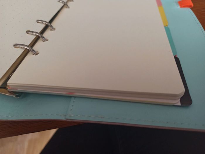 Journal - photo numéro 7