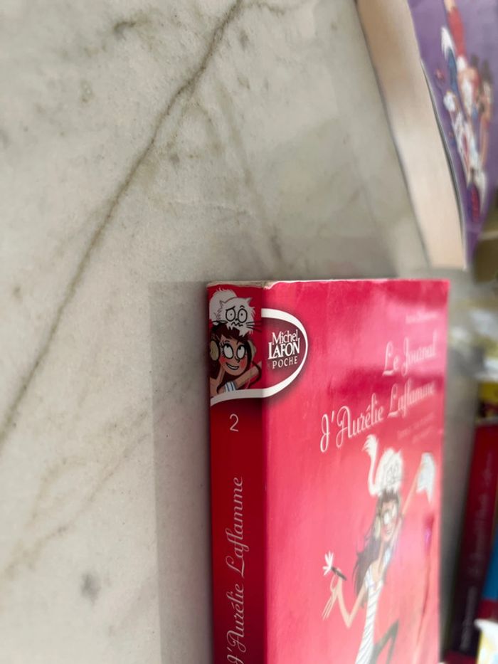 Livre « le journal d’aurelie laflamme » tome 2 - photo numéro 4