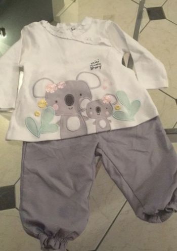 Ensemble koala 6 mois