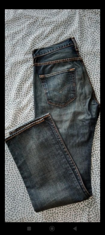 Jean lewis 501