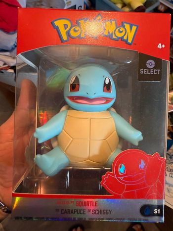 Figurine carapace