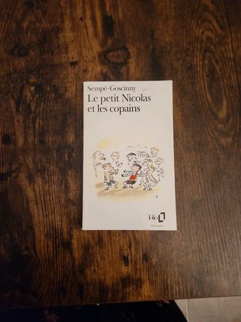 Livre : Le petit Nicolas et les copains