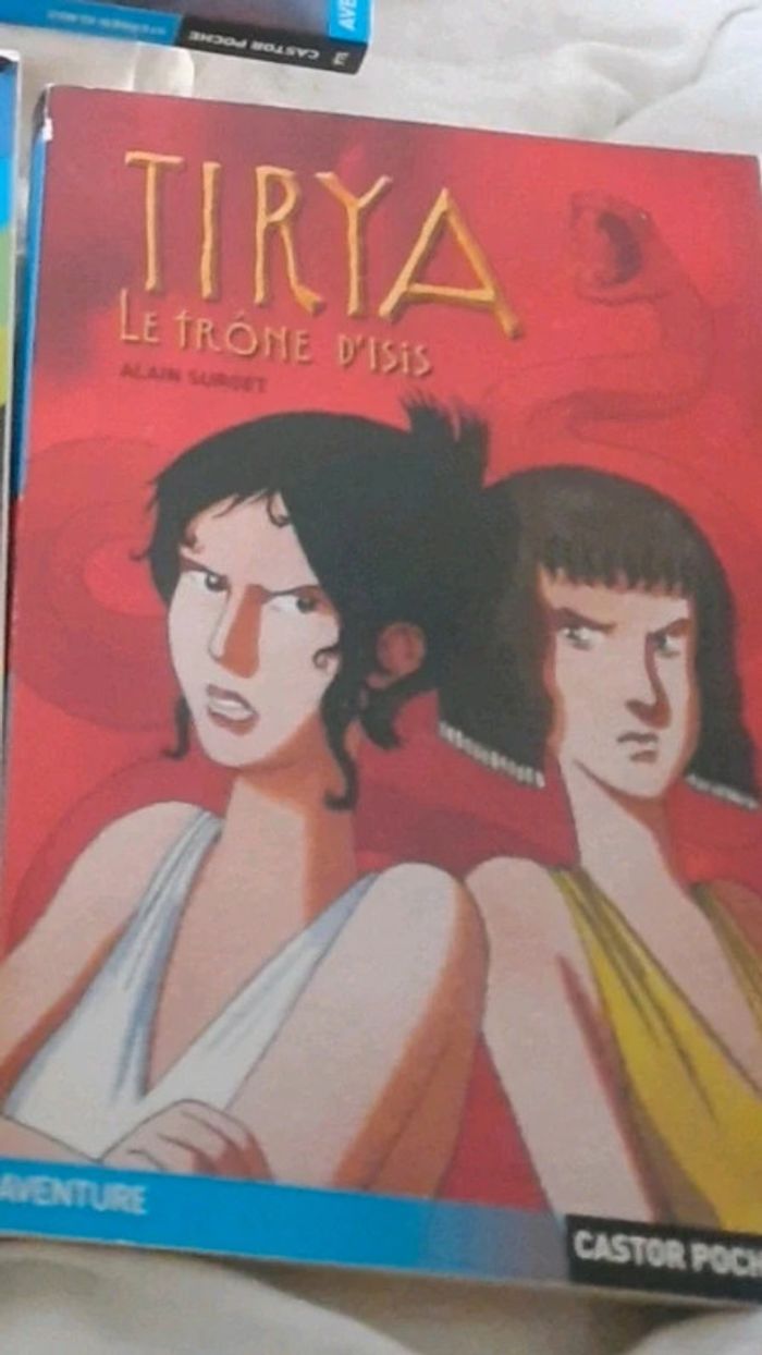 Livre castor flammarion 11ans