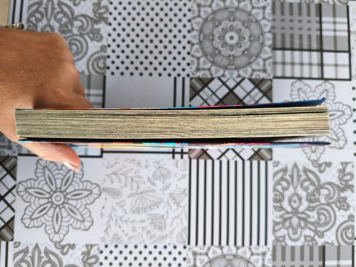 Livre Instinct d'Inoxtag - photo numéro 4