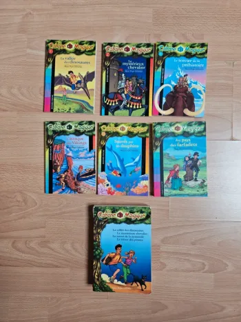 Lot 7 livres cabane magique